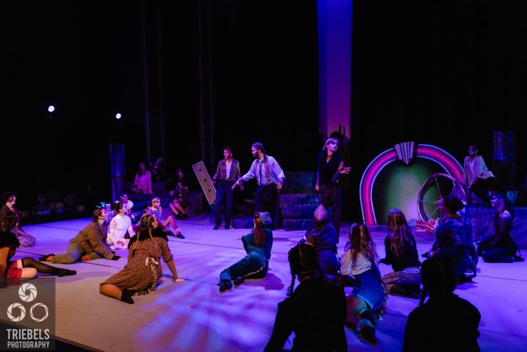 CATS Christchurch Shows